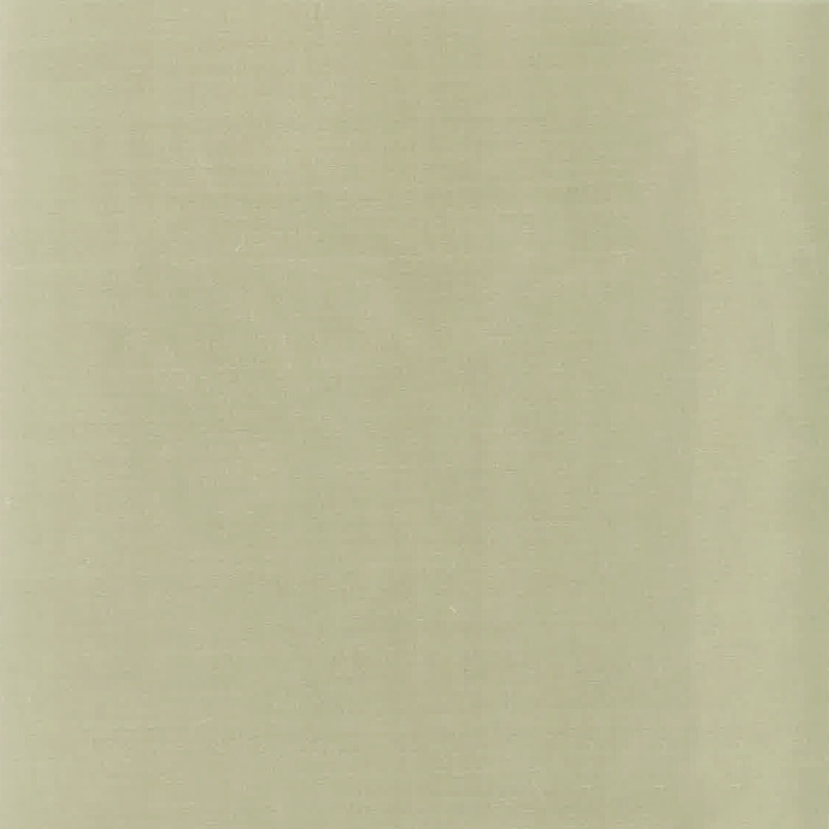 GENOA 4 TAUPE