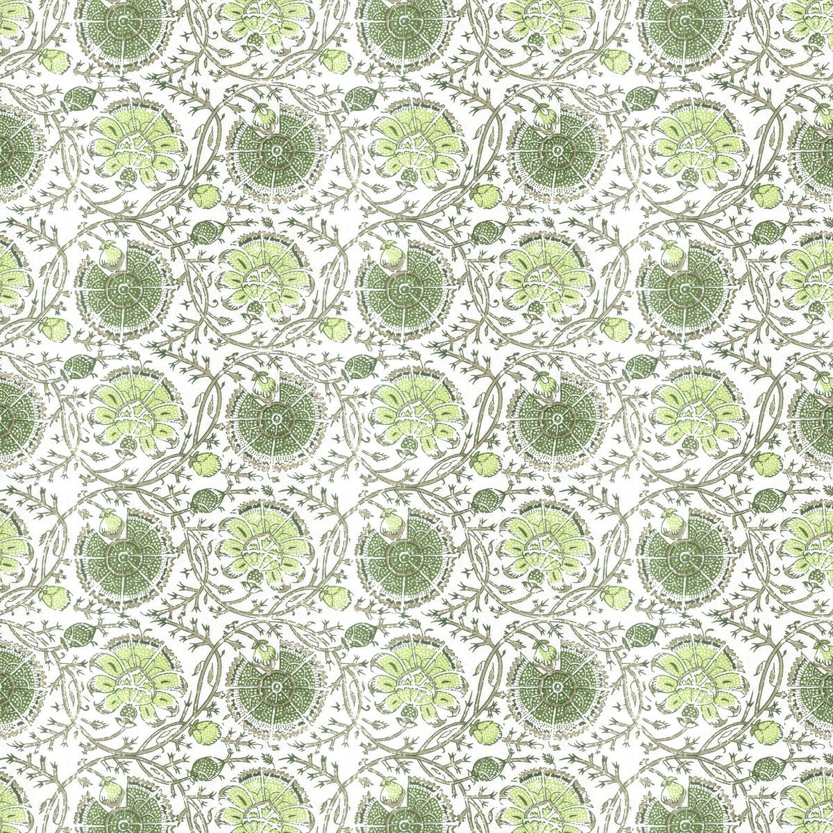 GIBERTINI 3 APPLE