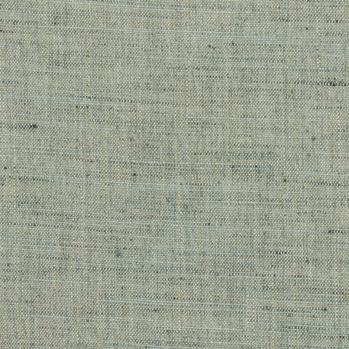 GOSSAMER 6 BAYBERRY