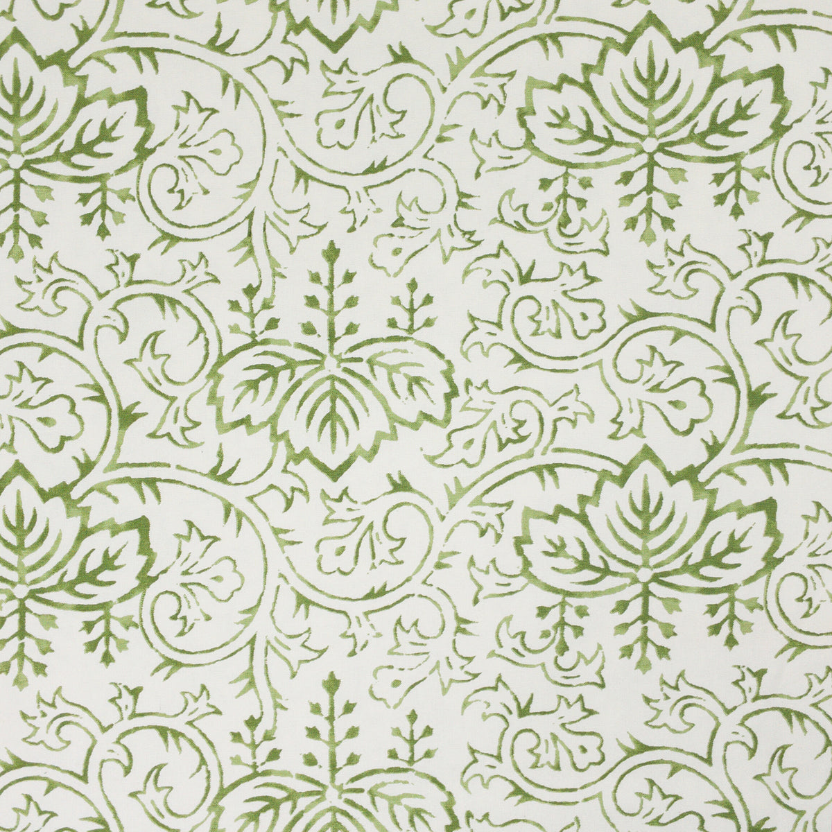 GROVE 1 OLIVE
