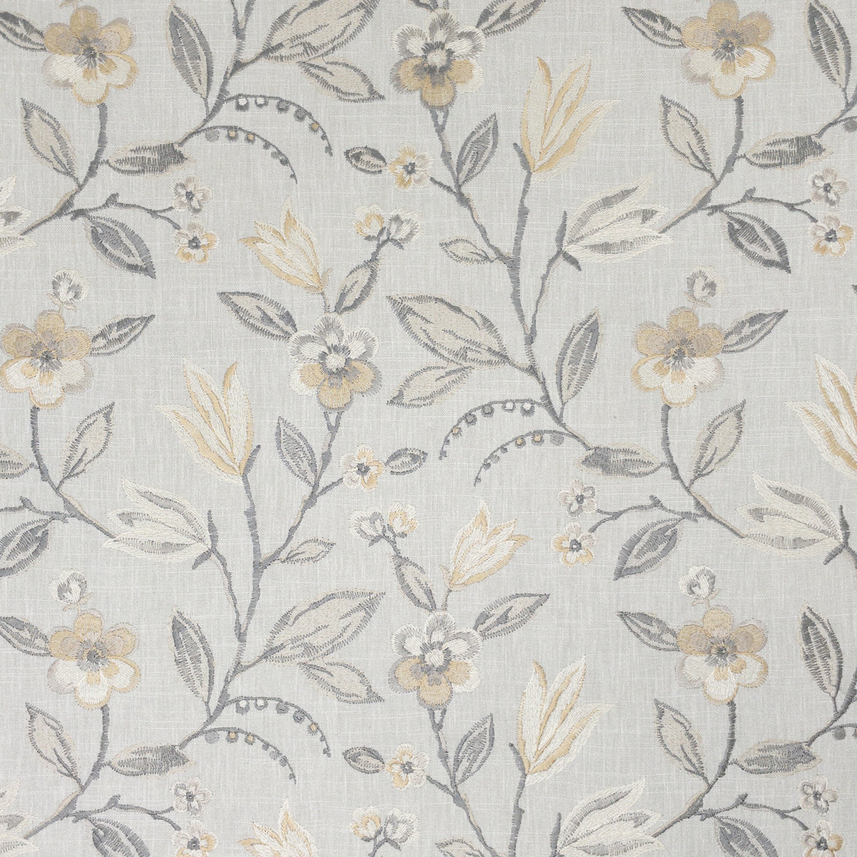 GWYNETH 3 DOVE