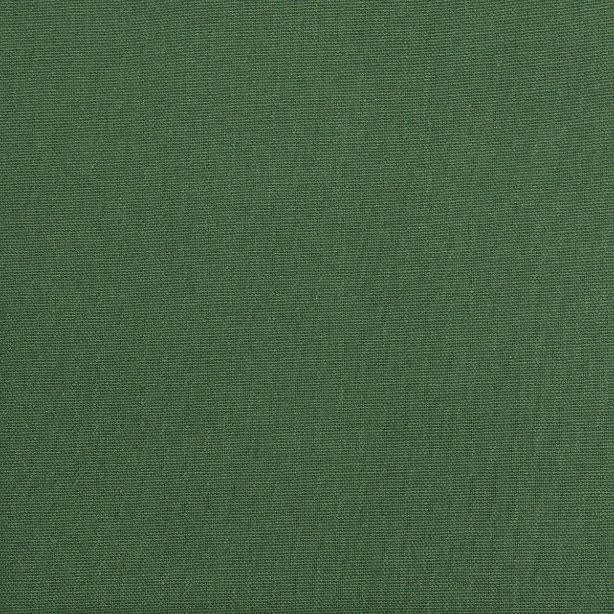 HAMLET 2 EVERGREEN