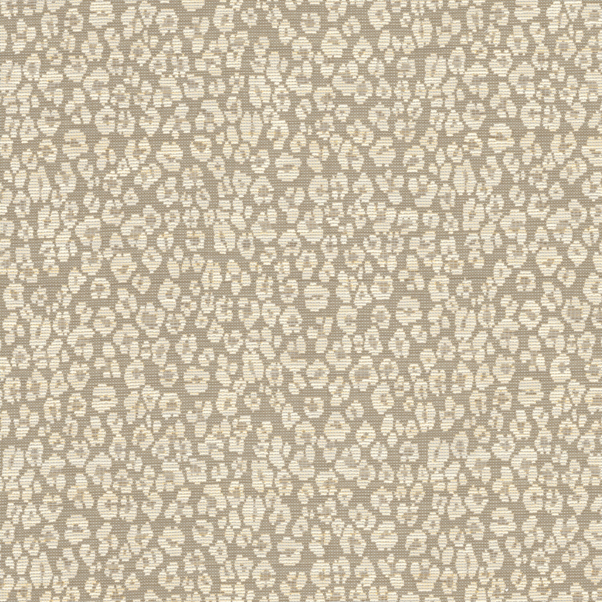 HAPSBURG 2 RAFFIA