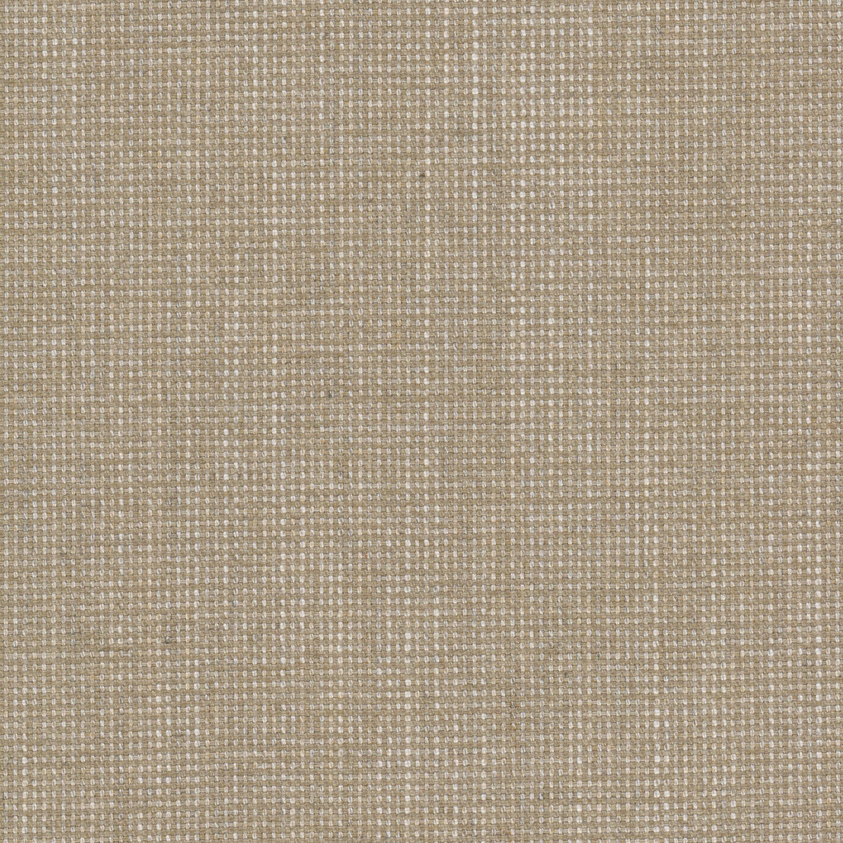 HOLYOKE 11 TAUPE