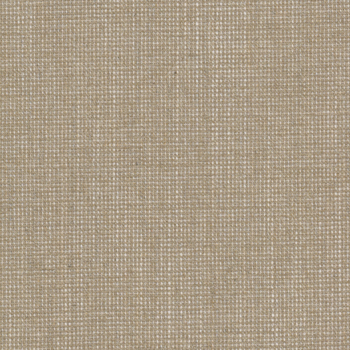 HOLYOKE 11 TAUPE