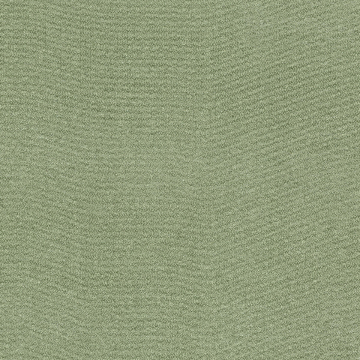 INEVITABLE 1 CELADON
