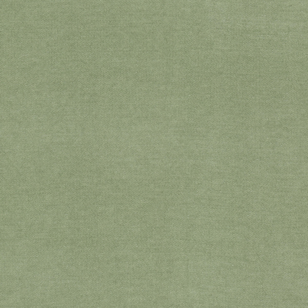 INEVITABLE 1 CELADON