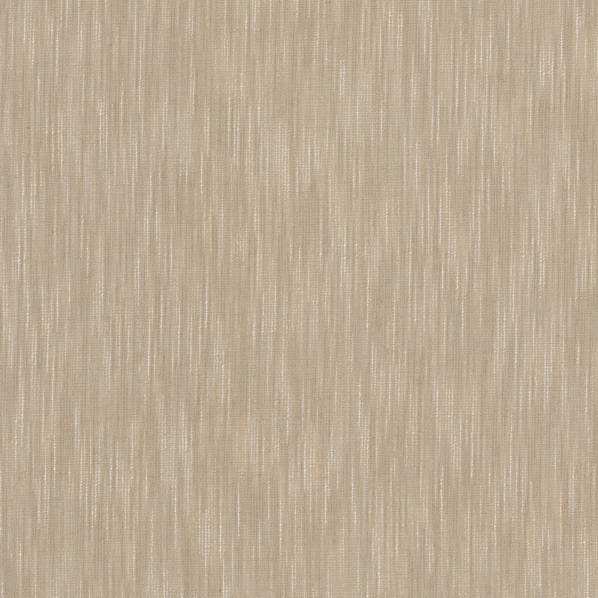 JOCKEY 1 SANDALWOOD
