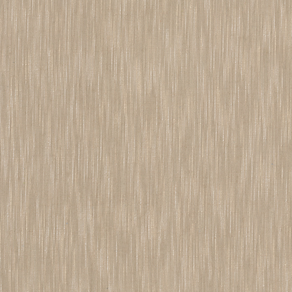 JOCKEY 1 SANDALWOOD