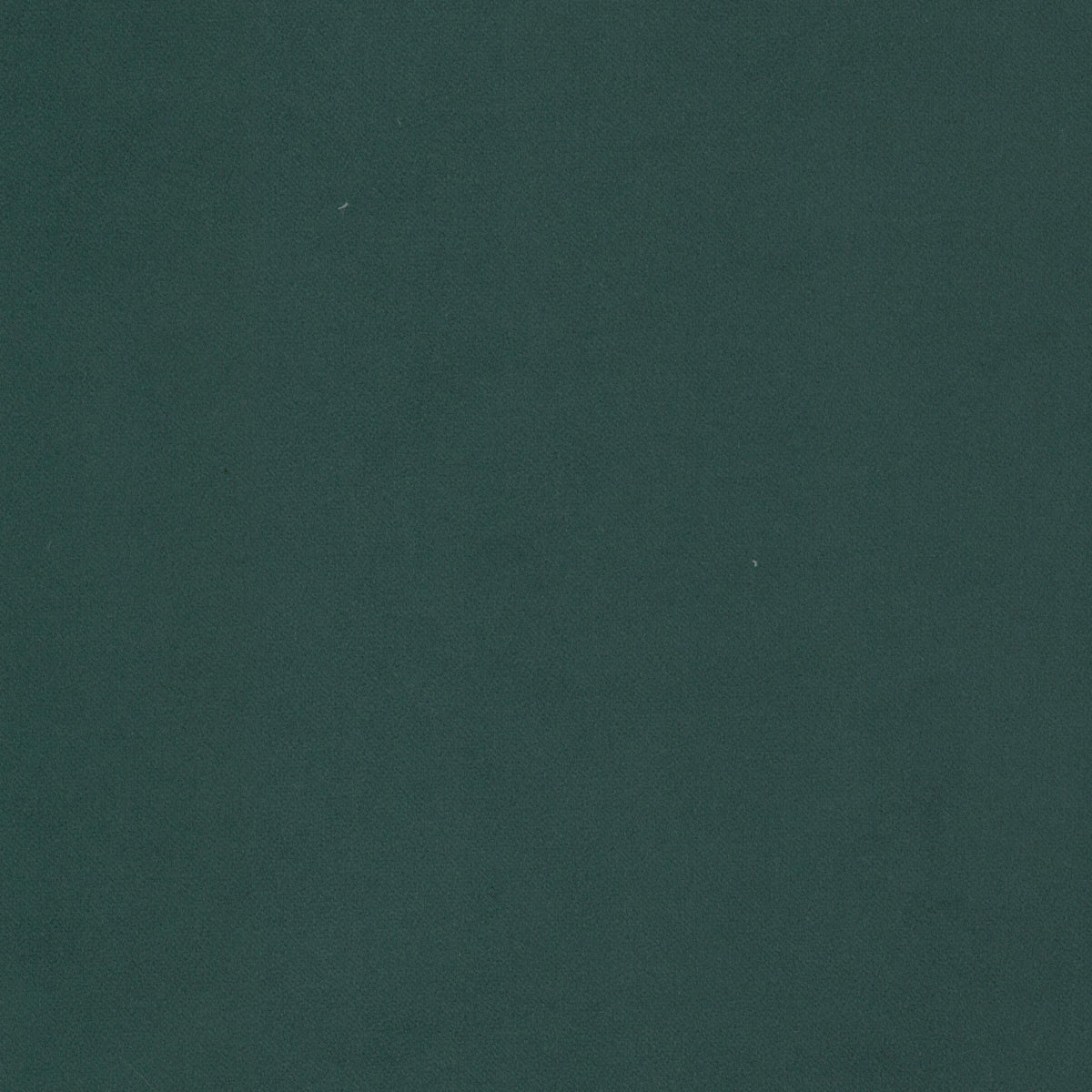 JOSTLE 6 EVERGREEN