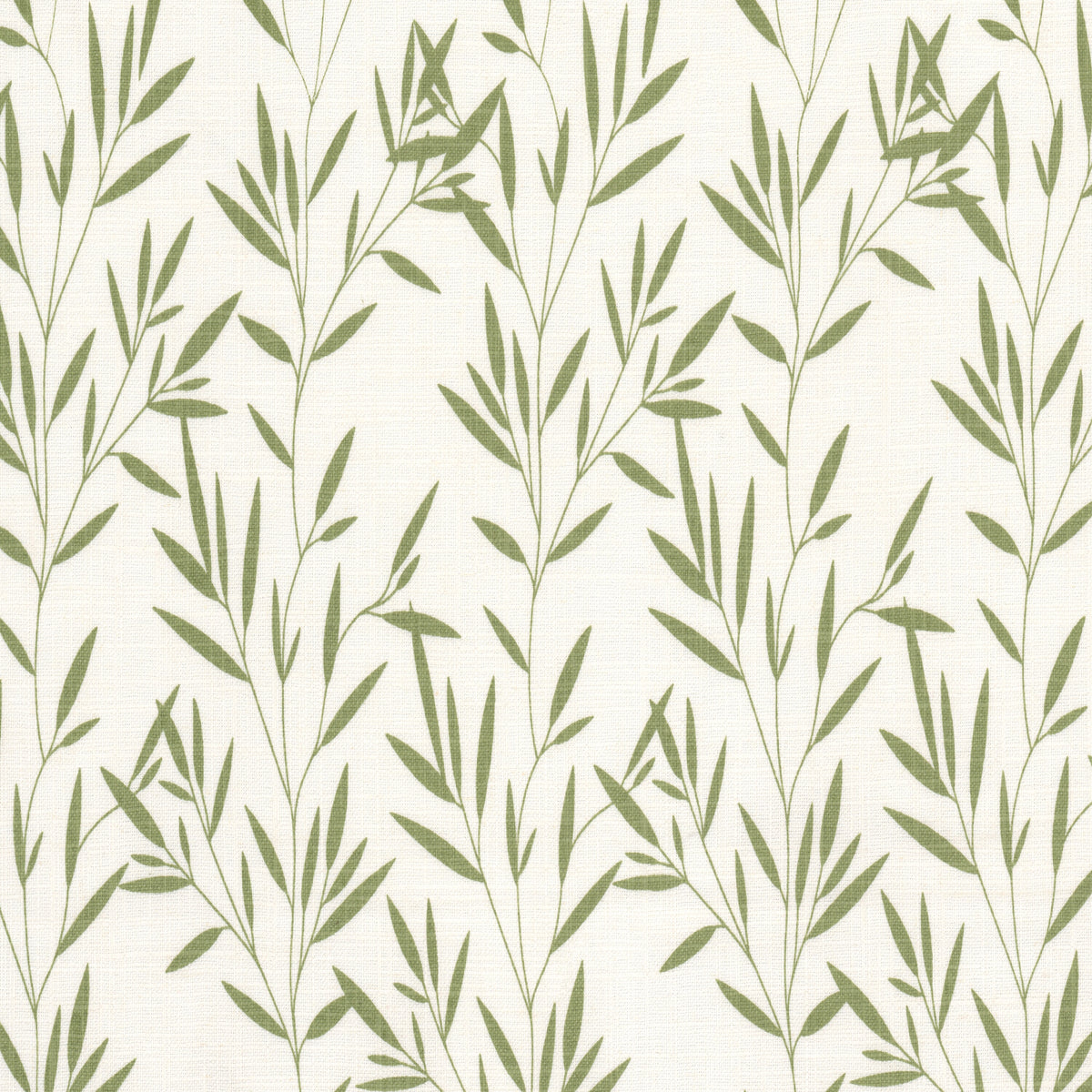 KANAKA 1 GRASS