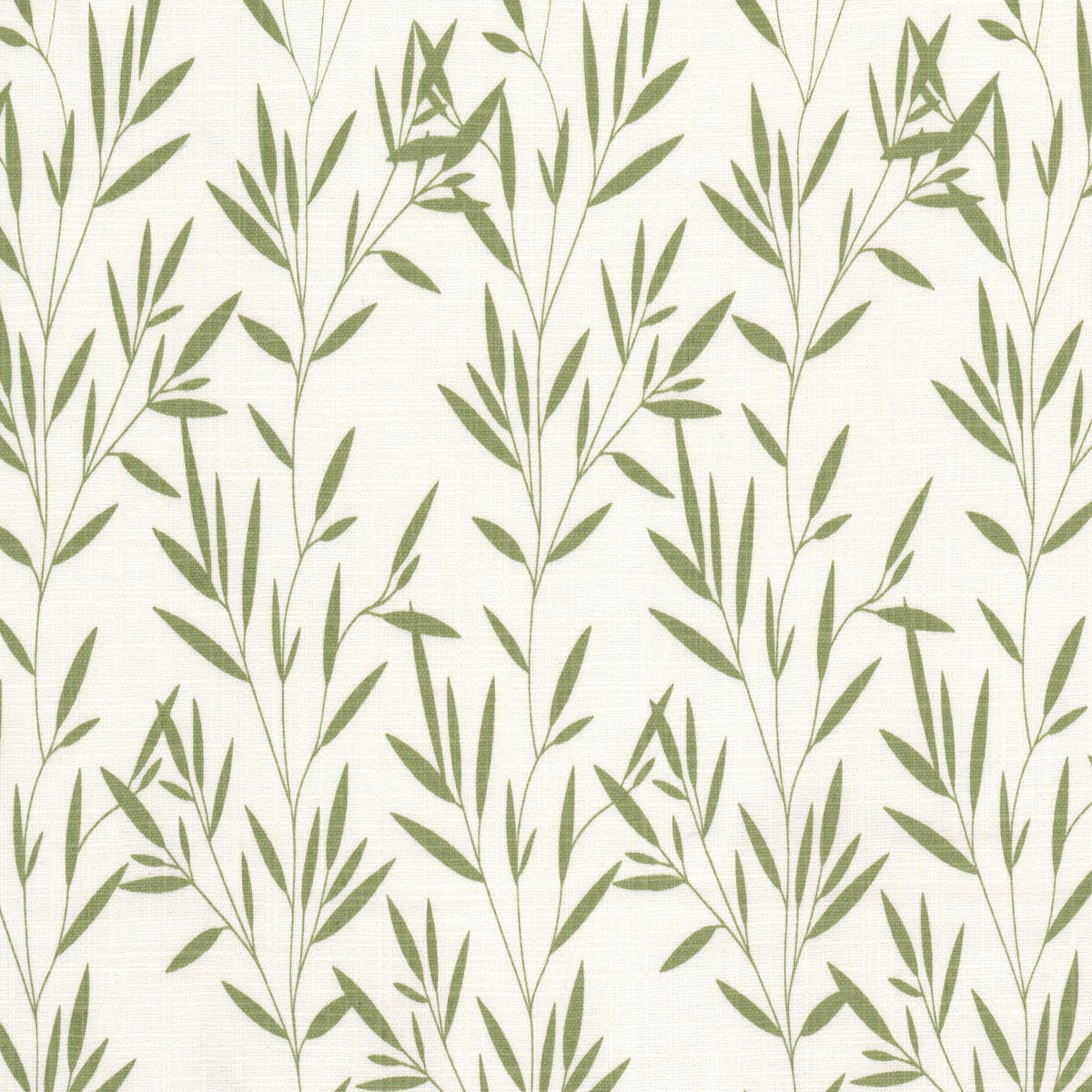 KANAKA 1 GRASS