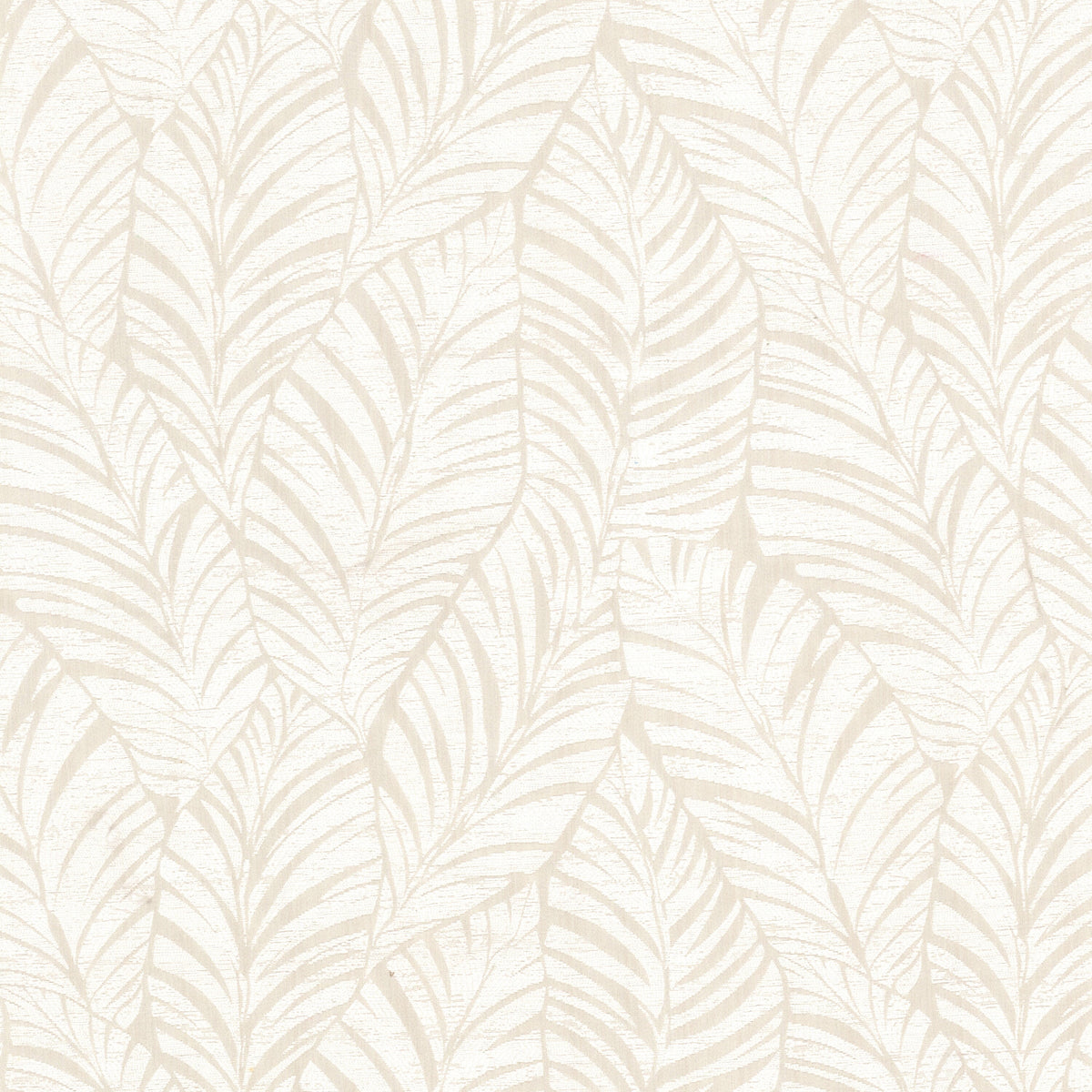 KENNETH 1 PARCHMENT