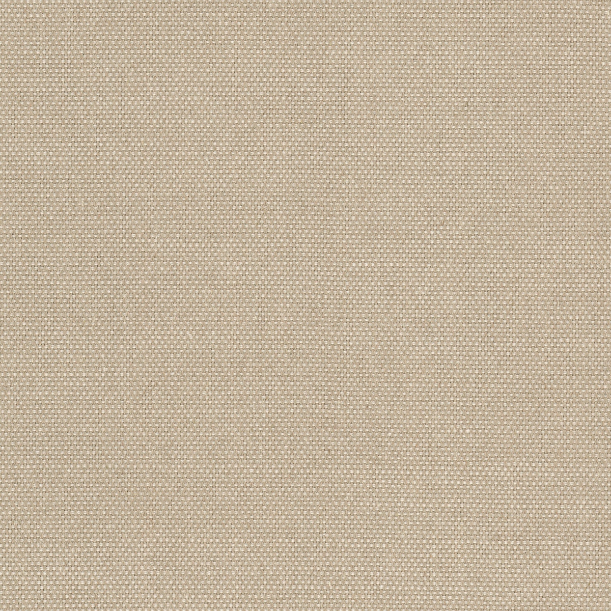 KILTER 8 CAMEL