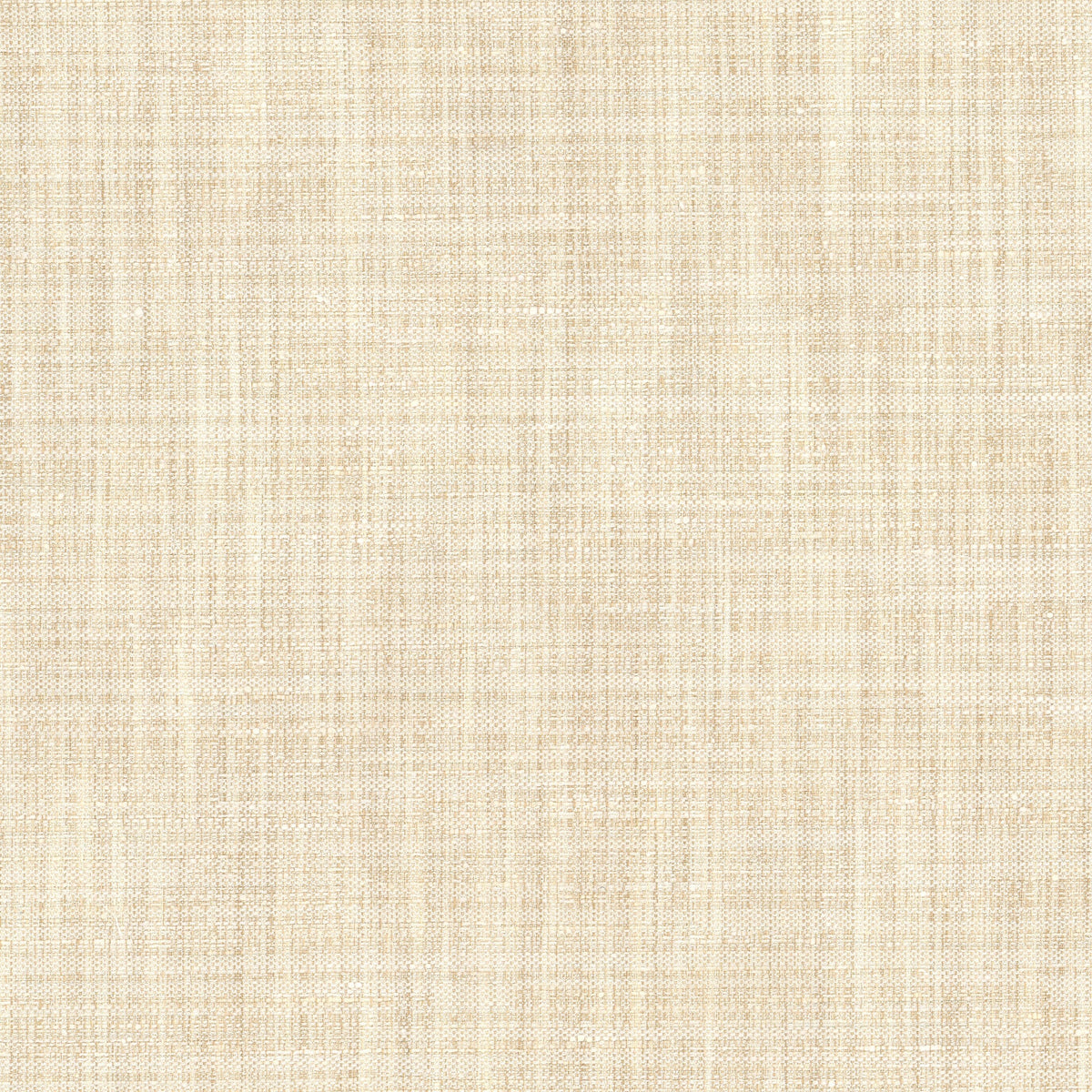 KIMBERLY 1 CHAMPAGNE