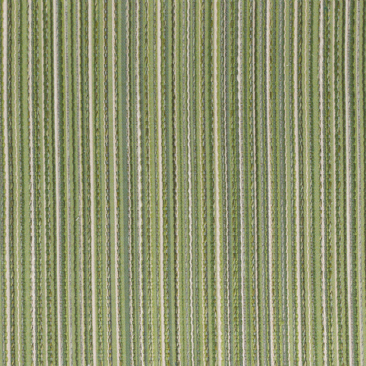 KUMMEL 5 GRASS
