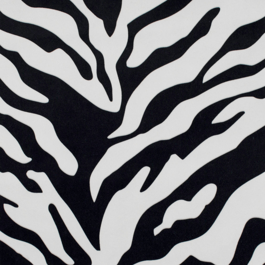 Zebra - Black/White