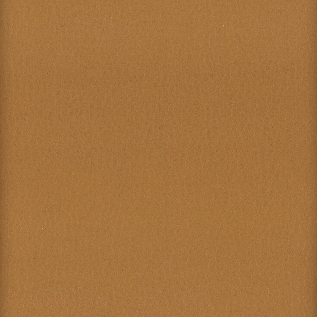 LODGE 10 COGNAC