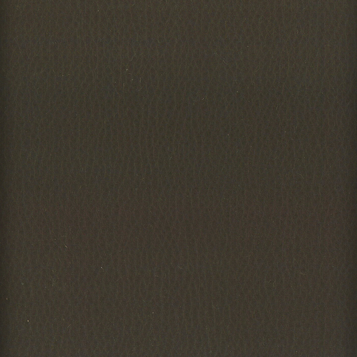 LODGE 8 SLATE