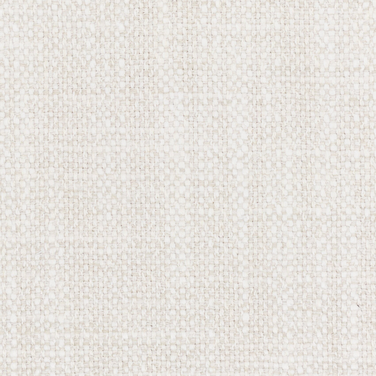 LOHAN 6 BIRCH