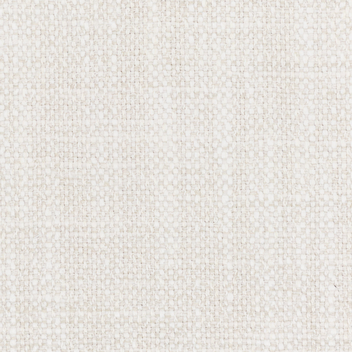 LOHAN 6 BIRCH