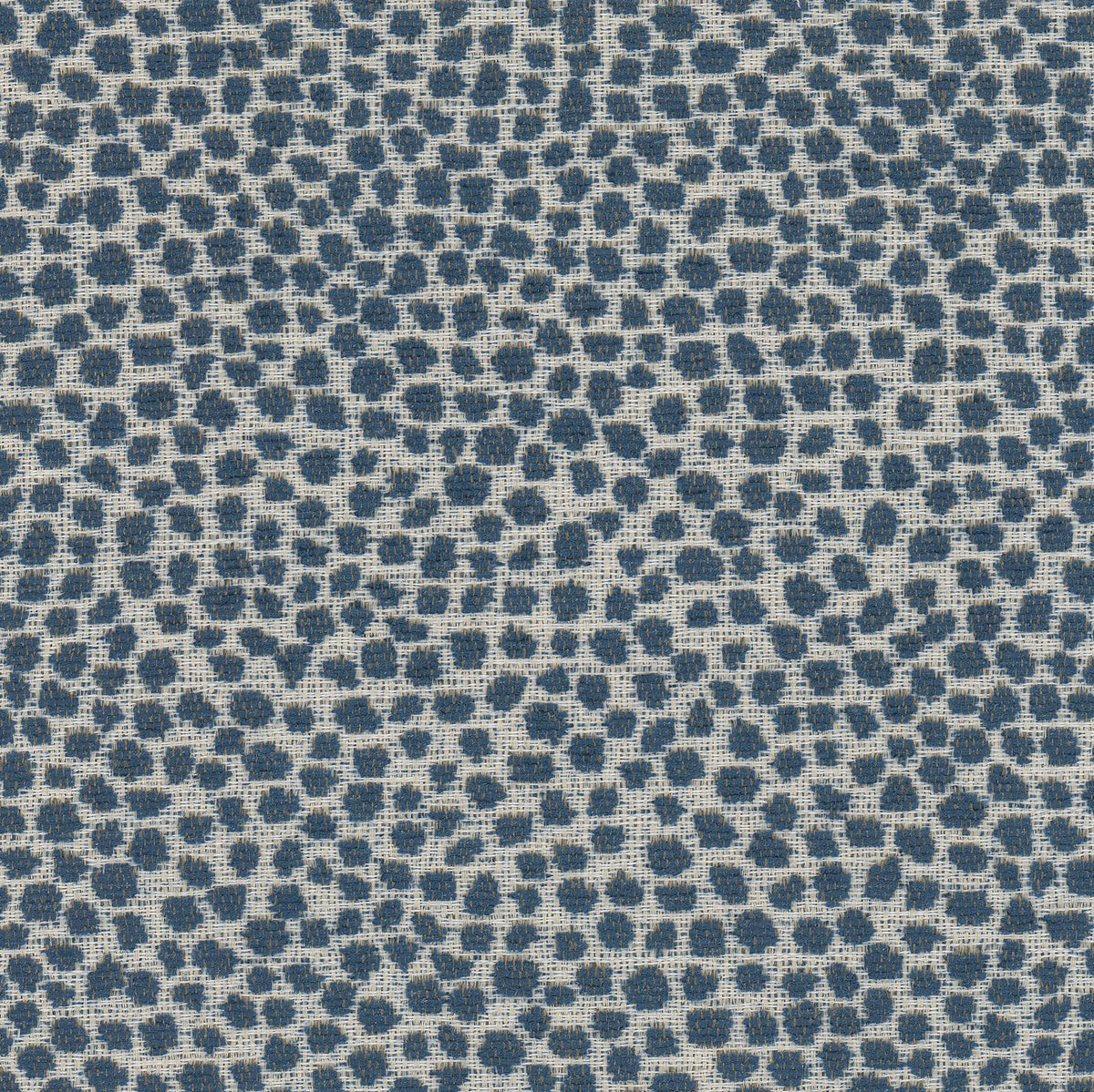 LOLLYPOP 1 NAVY