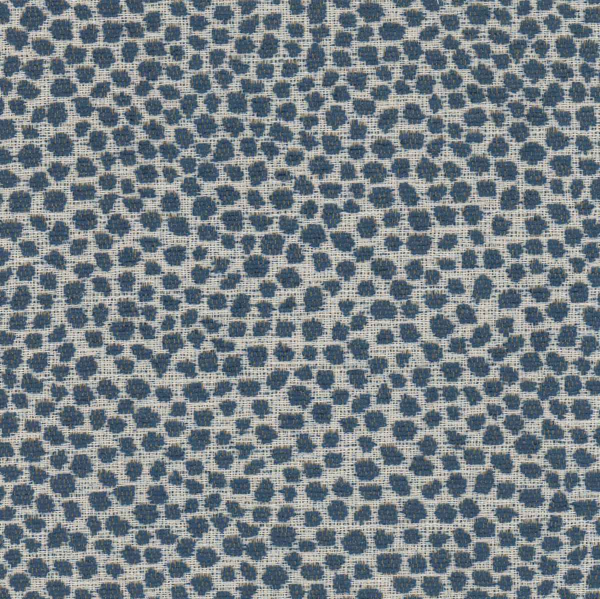 LOLLYPOP 1 NAVY