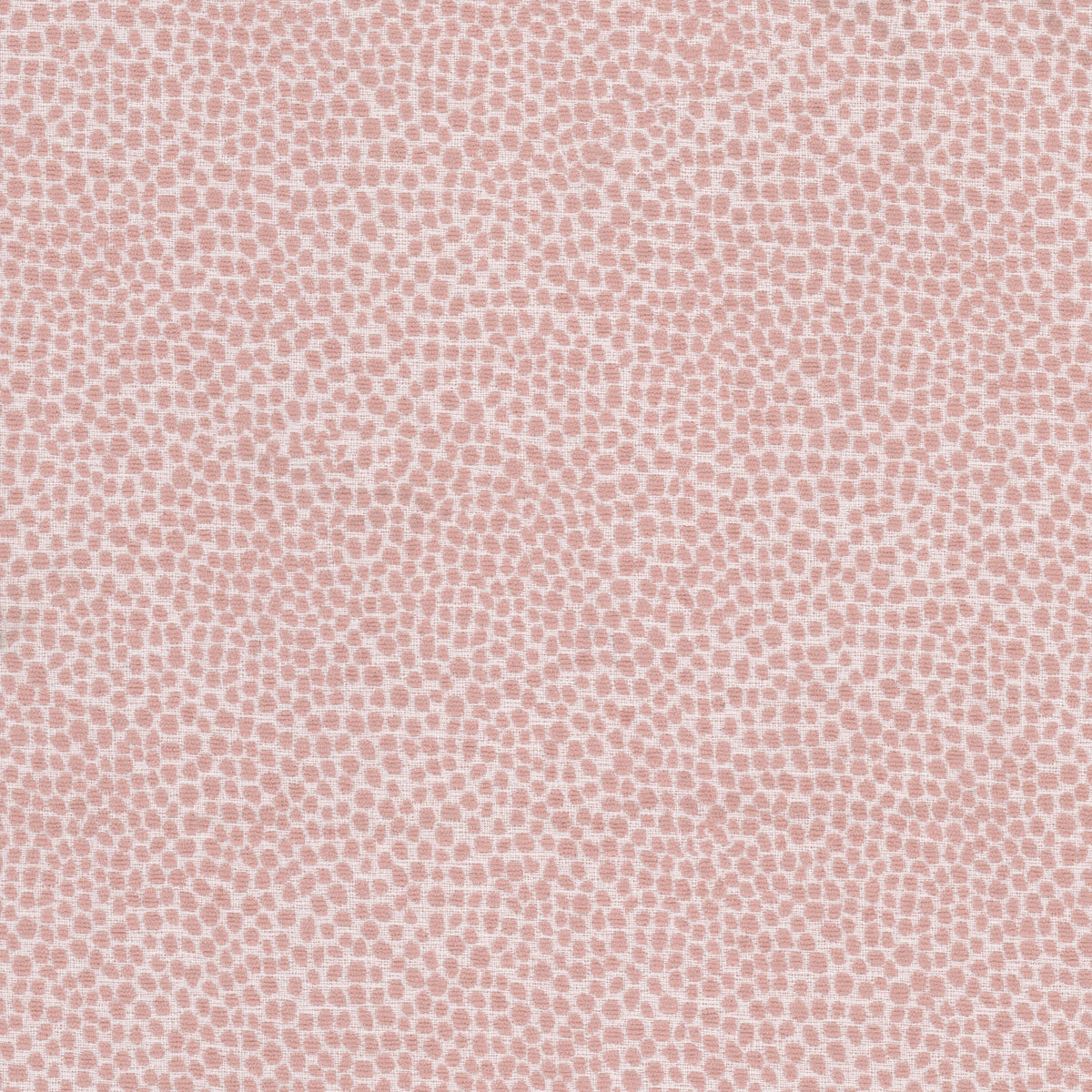 LOLLYPOP 4 POWDER