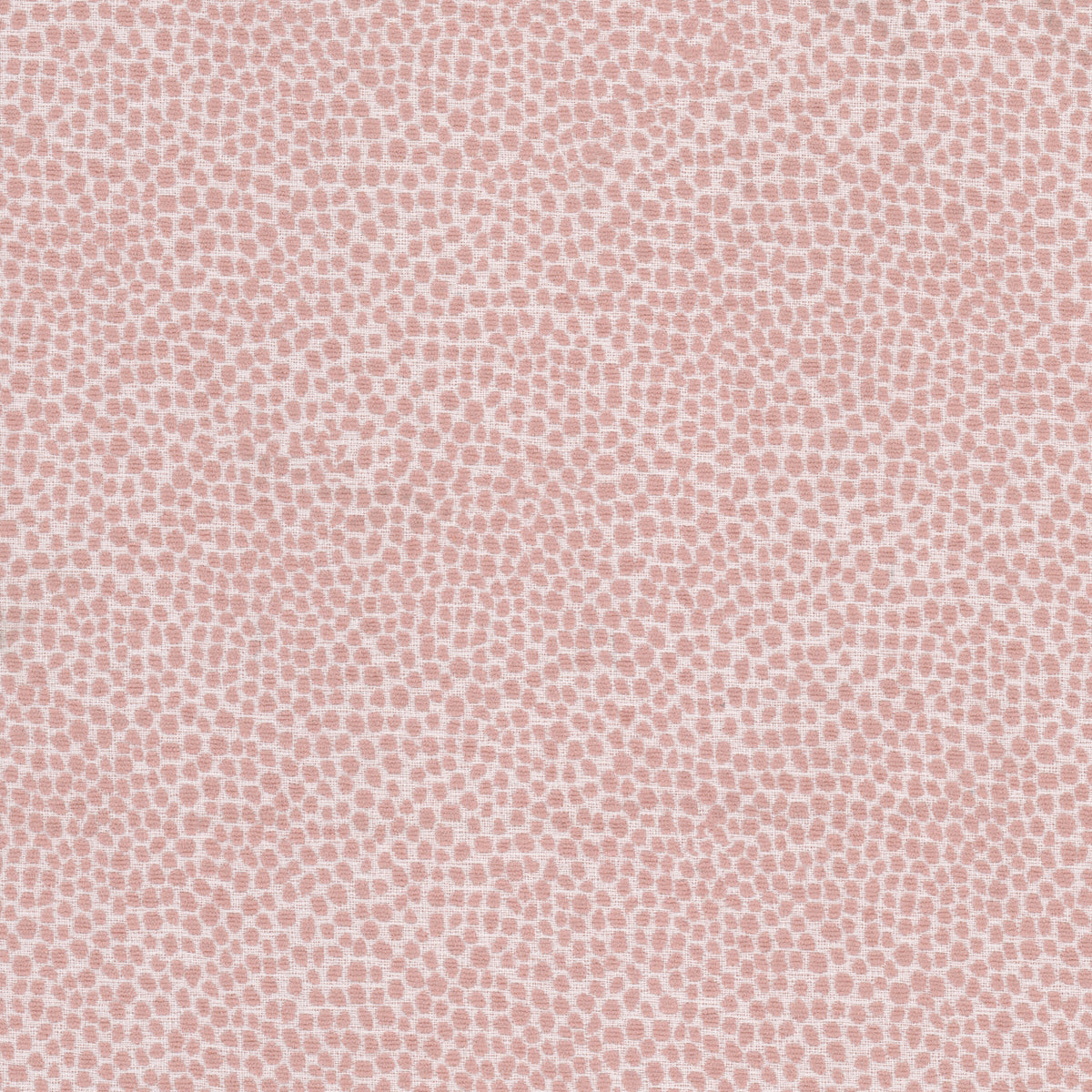 LOLLYPOP 4 POWDER