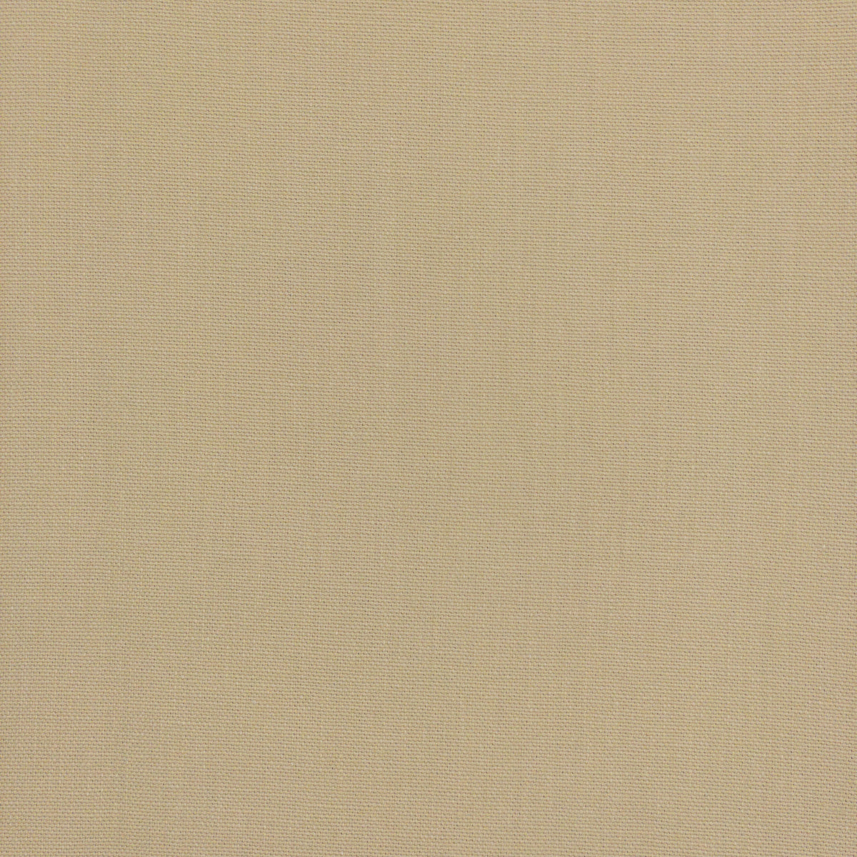 LONNIE 2 BEIGE