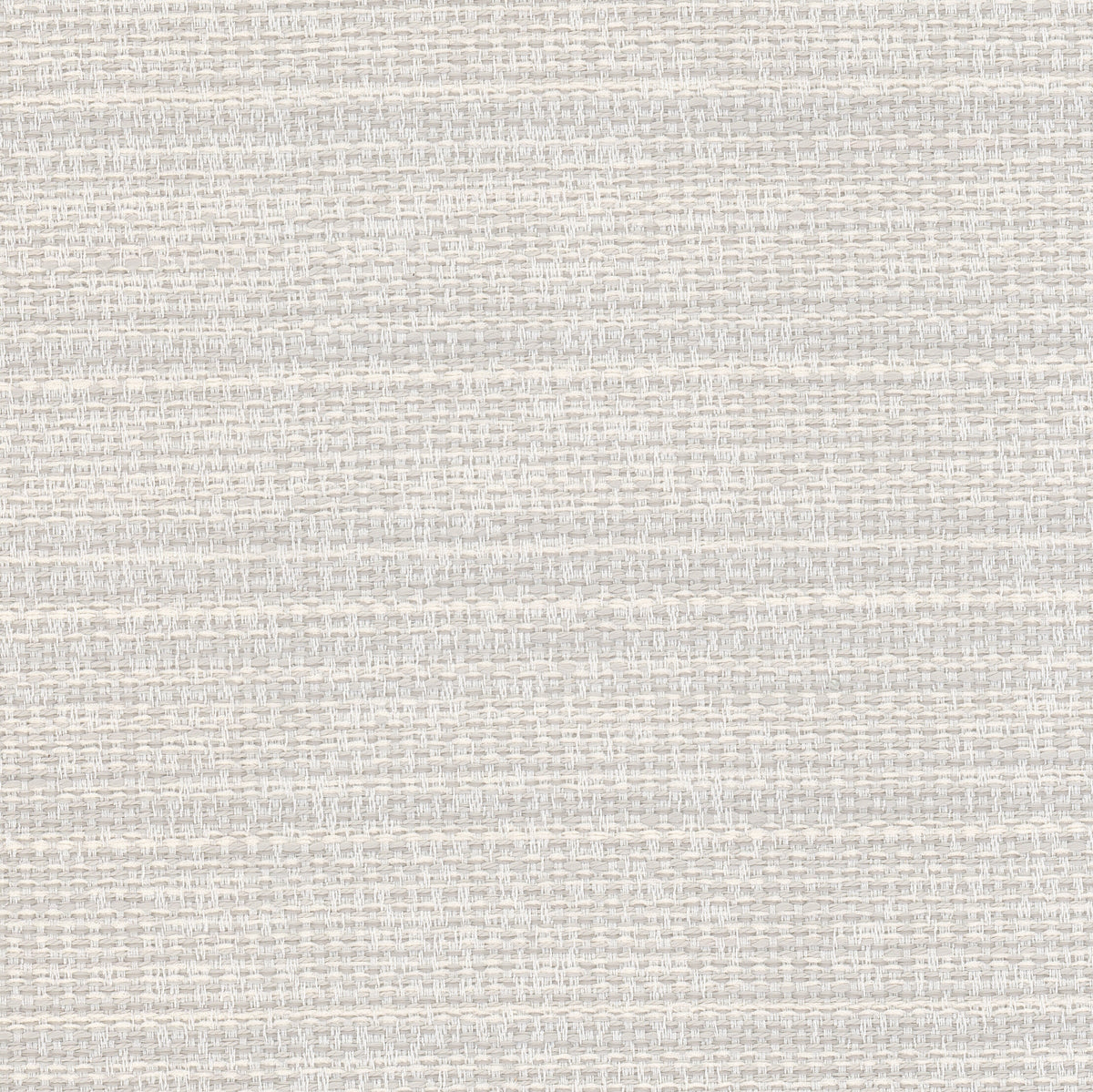 LUPINE 2 ASH