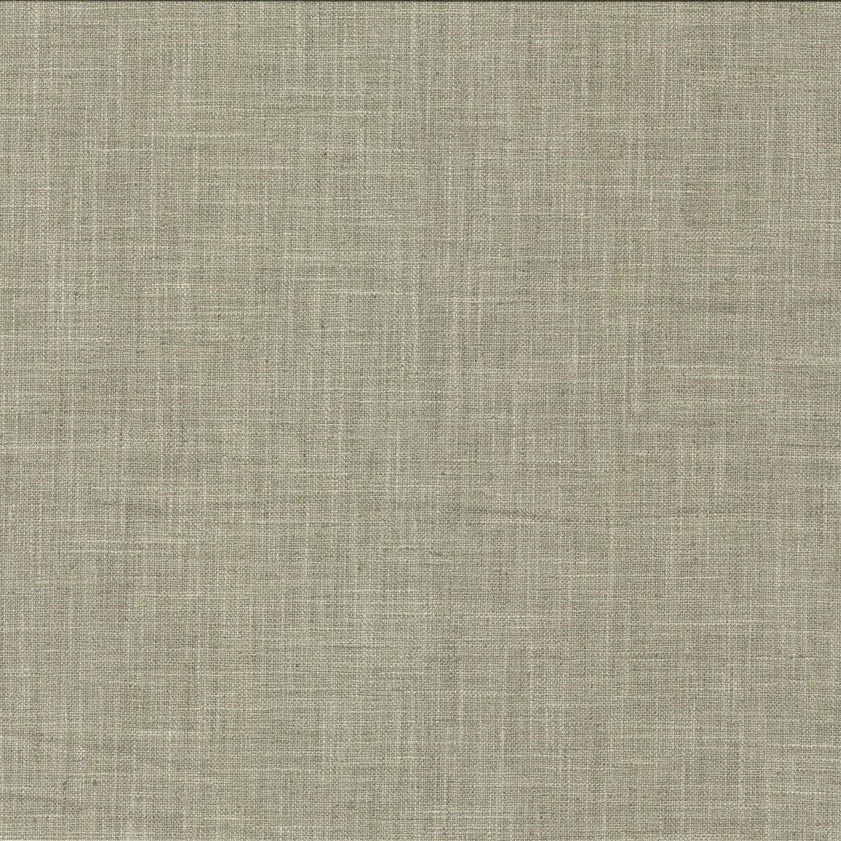 RM Coco Longchamp Silver Sage Fabric | Atlanta Fabrics