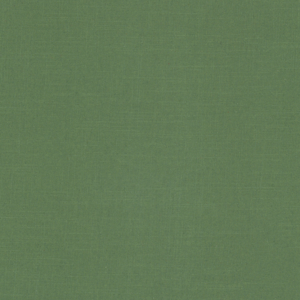 MANAGE 99 CHIVE