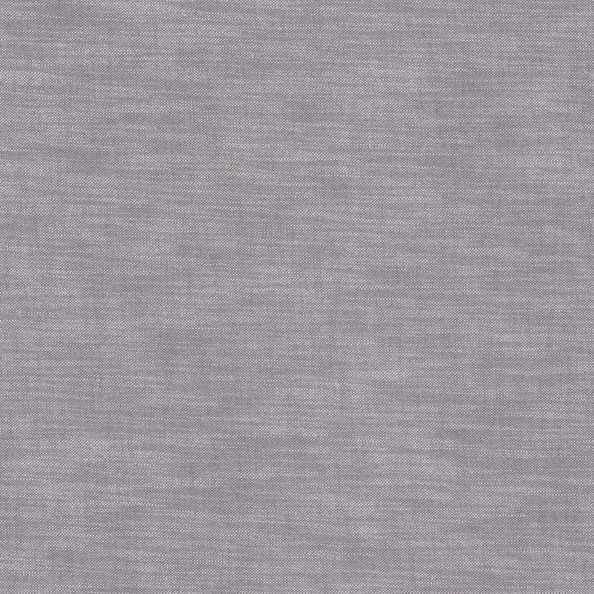 MODS 3 WISTERIA