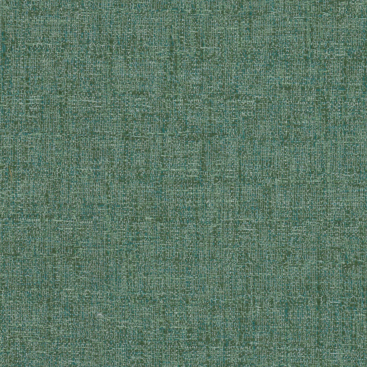 MODULE 1 PEACOCK