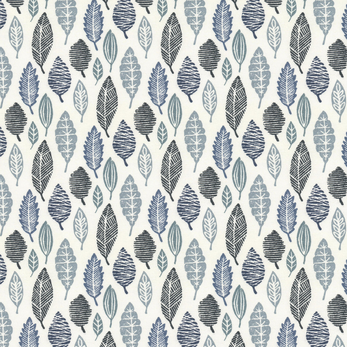 MOLECULE 1 WEDGEWOOD