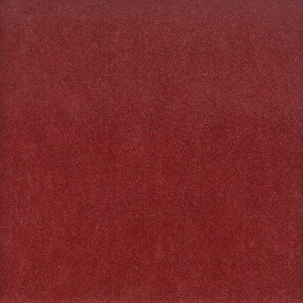 MOORE 11 BEET