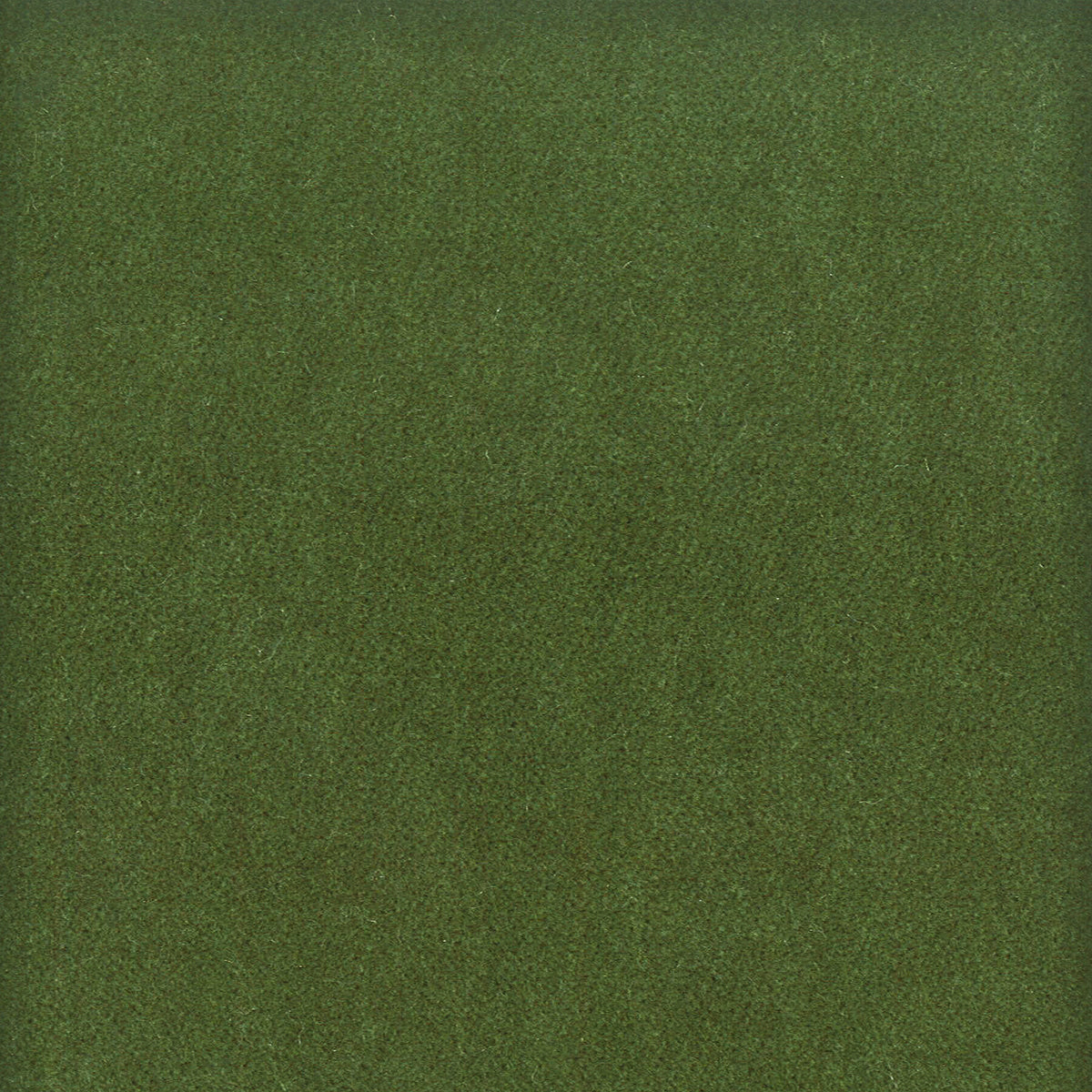 MOORE 14 BOXWOOD