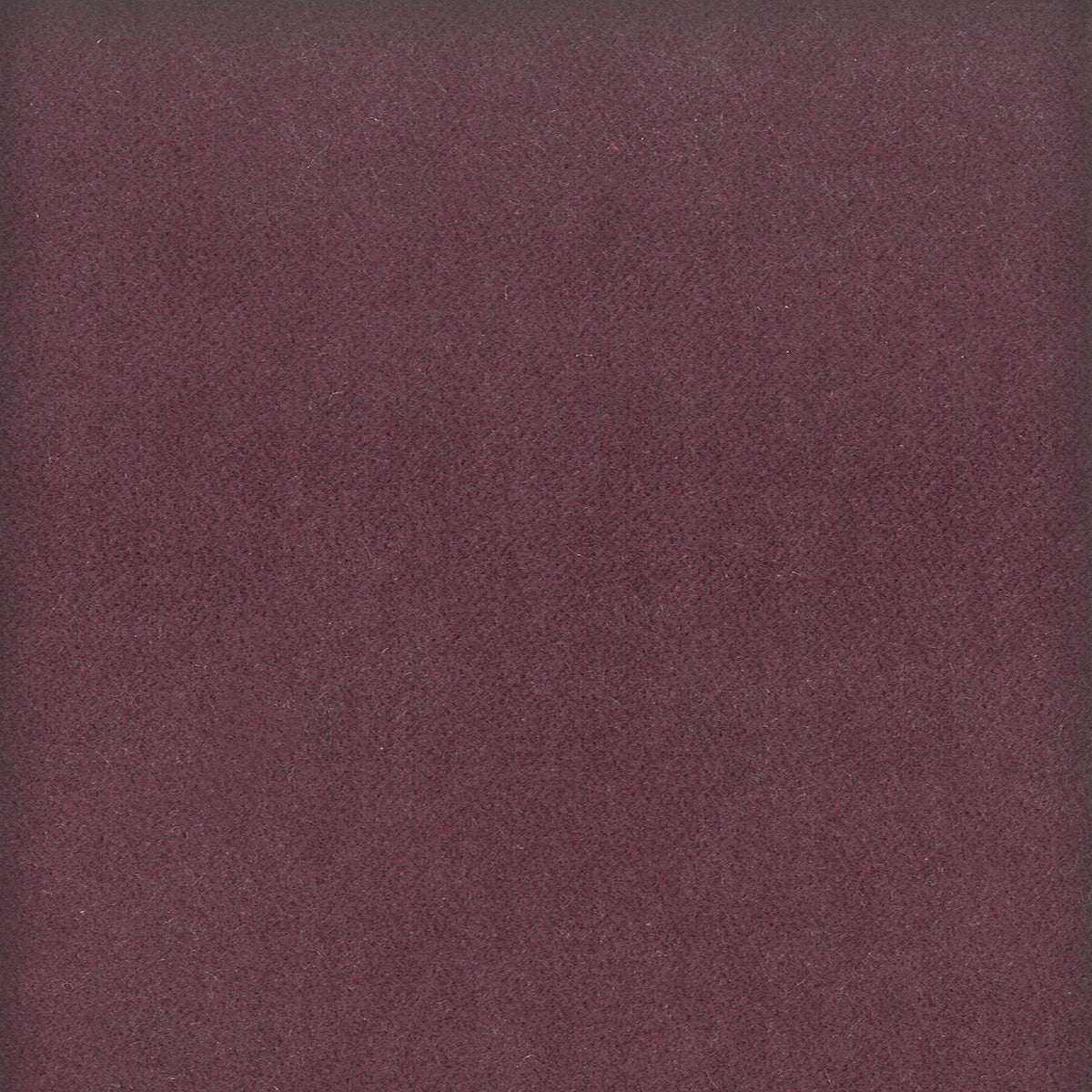 MOORE 15 PLUM