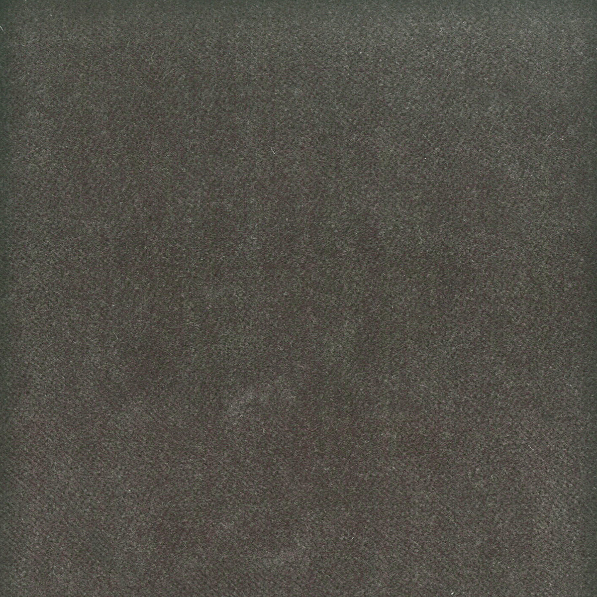 MOORE 16 FLINT
