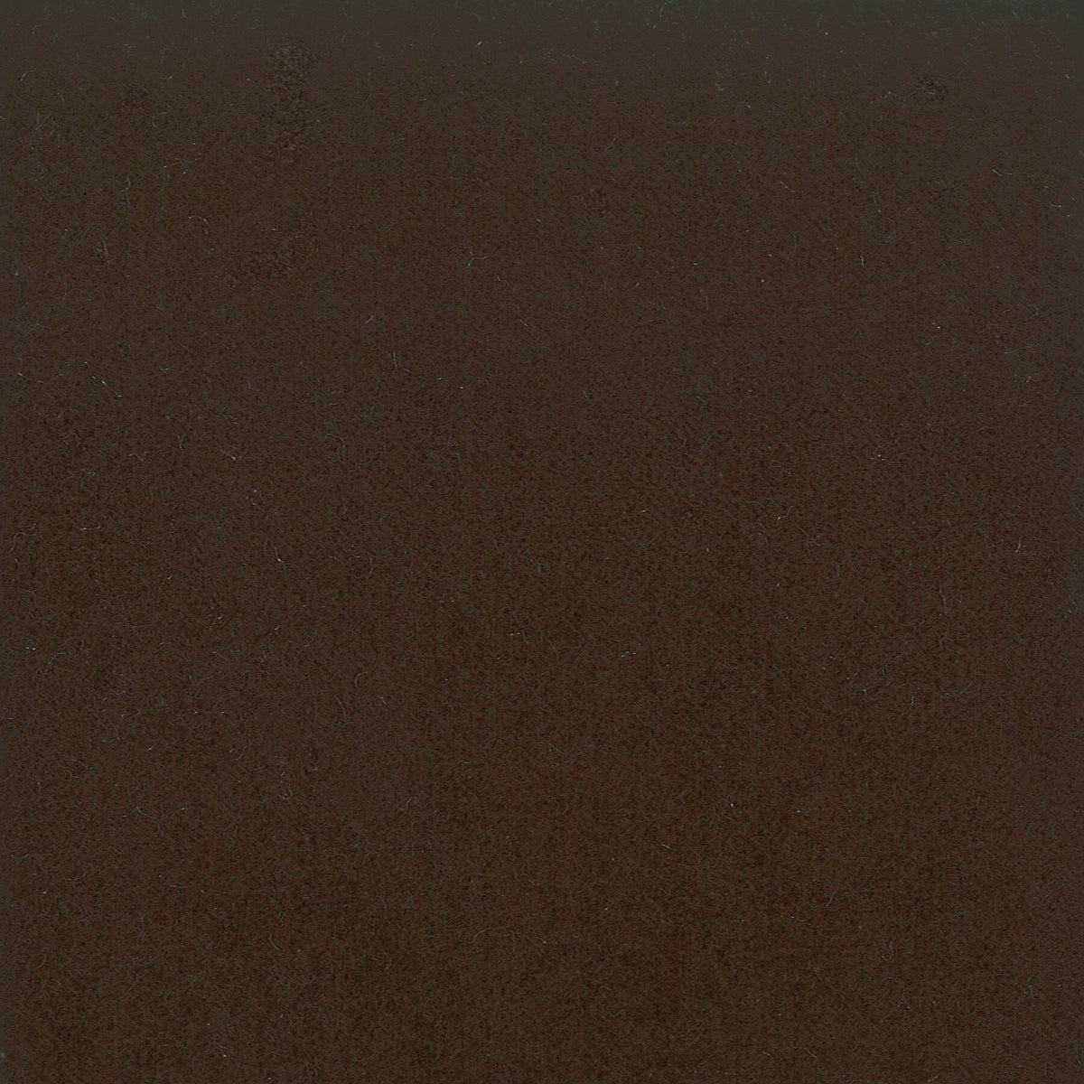 MOORE 18 TRUFFLE