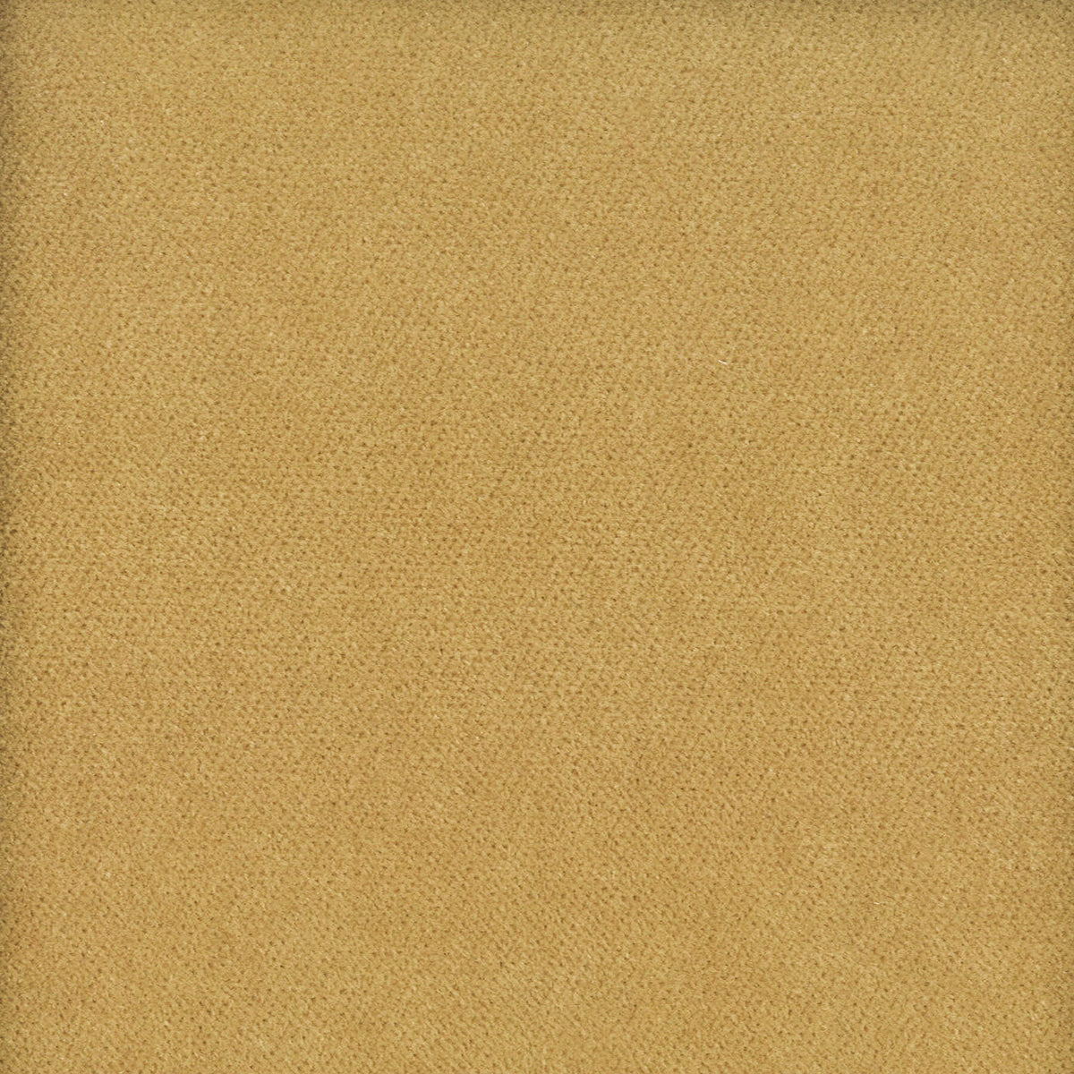 MOORE 1 CARAMEL