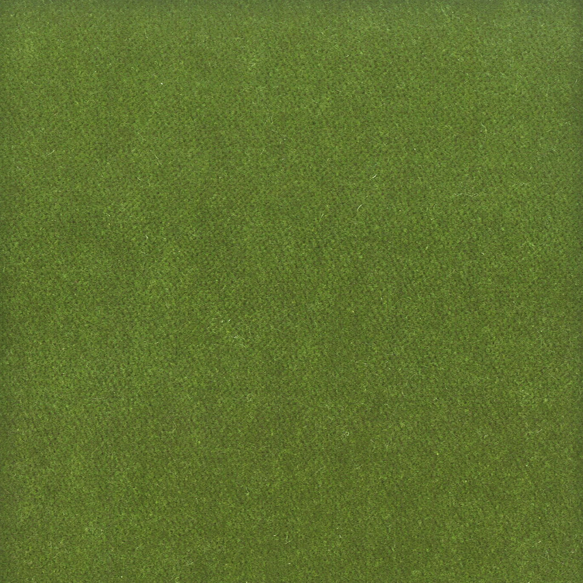 MOORE 20 MOSS