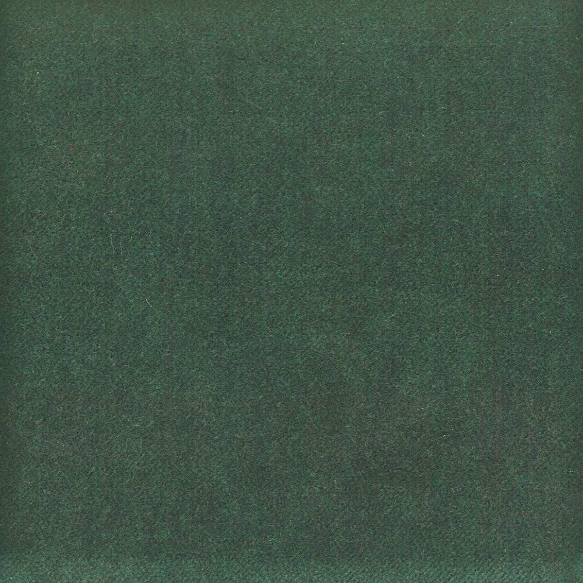 MOORE 22 PEACOCK