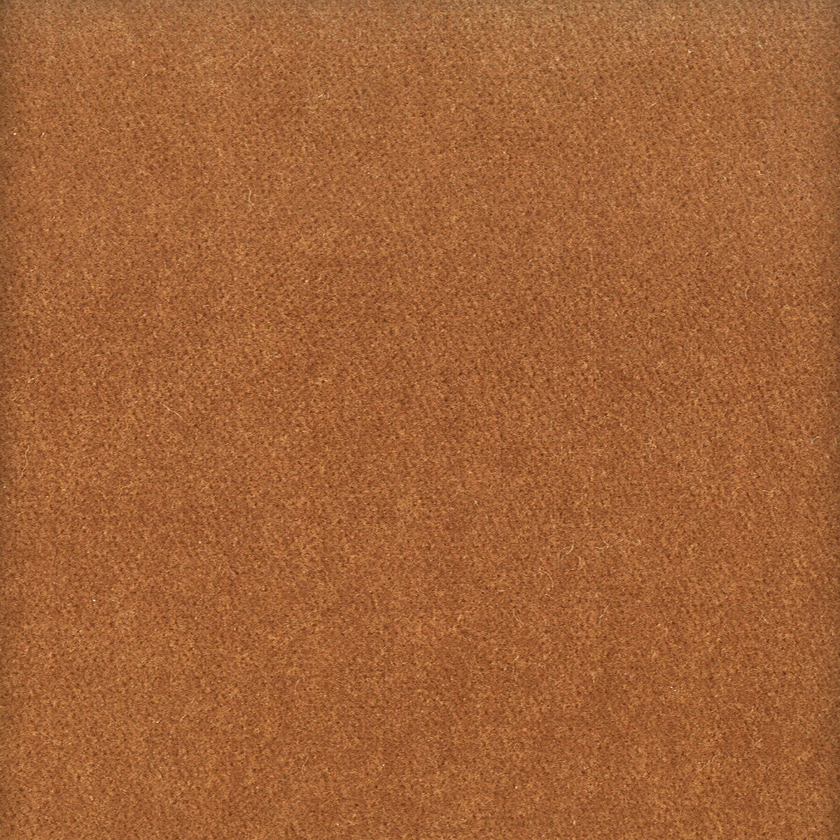 MOORE 40 CINNAMON