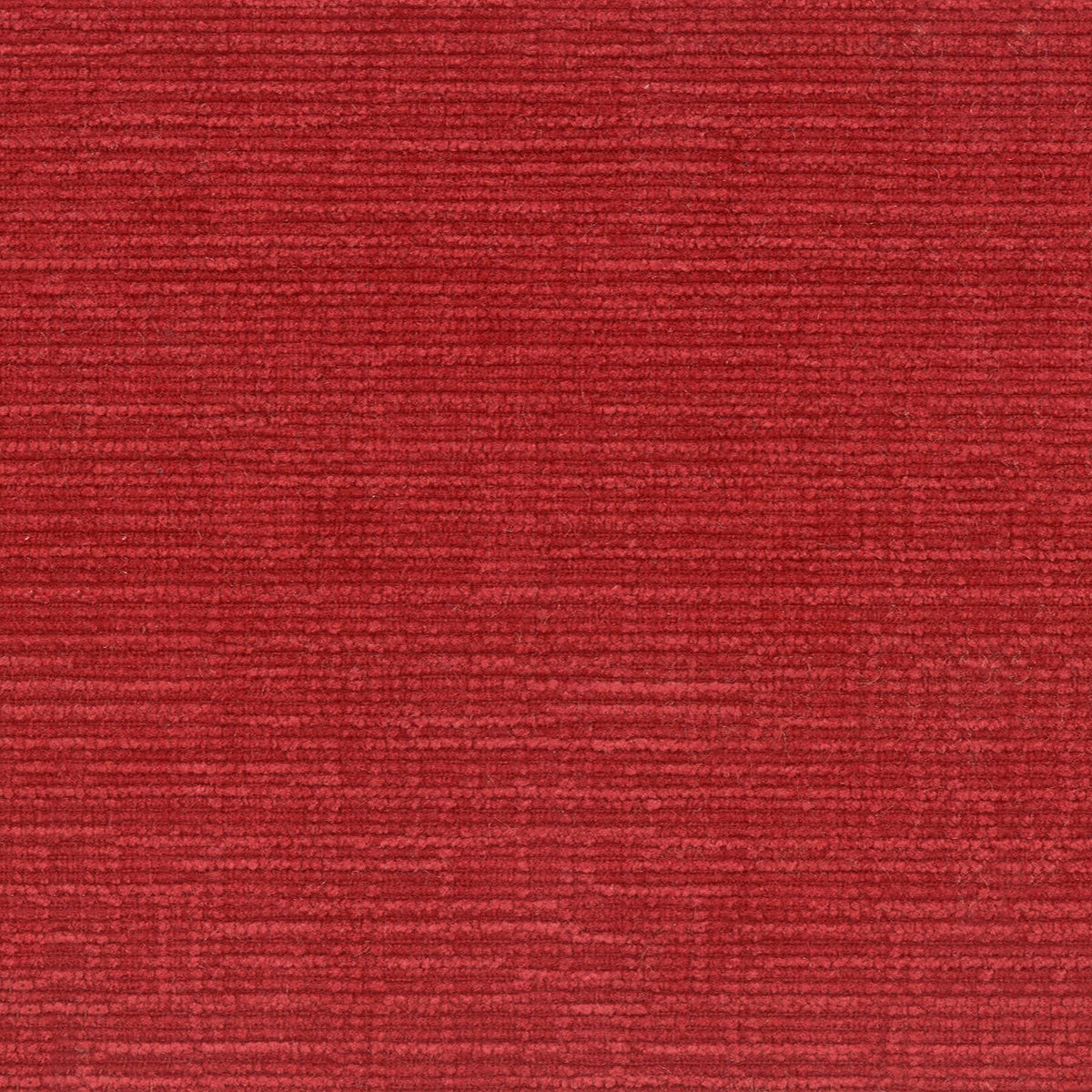 NIKKI 1 RUBY