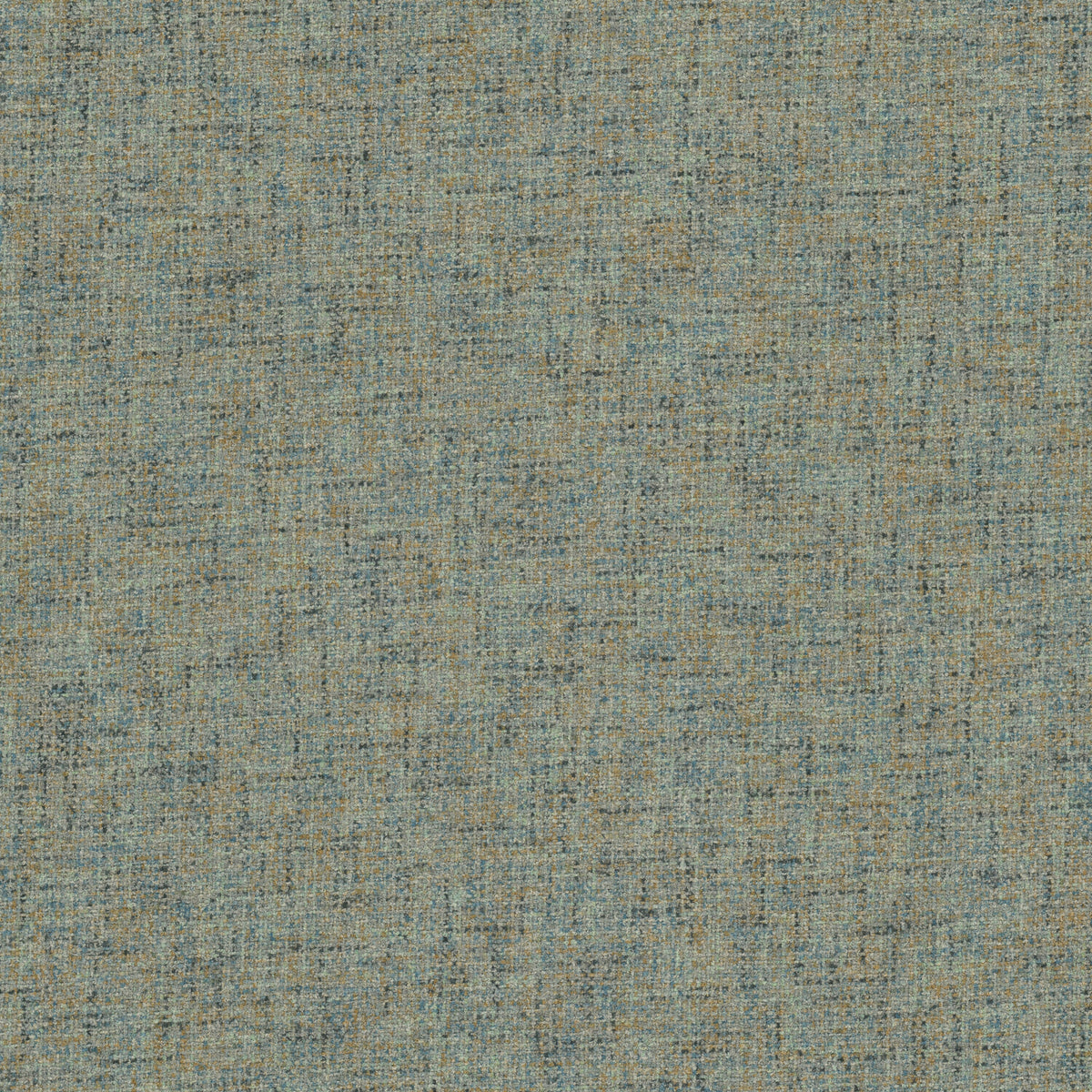 NOVICE 1 PEACOCK