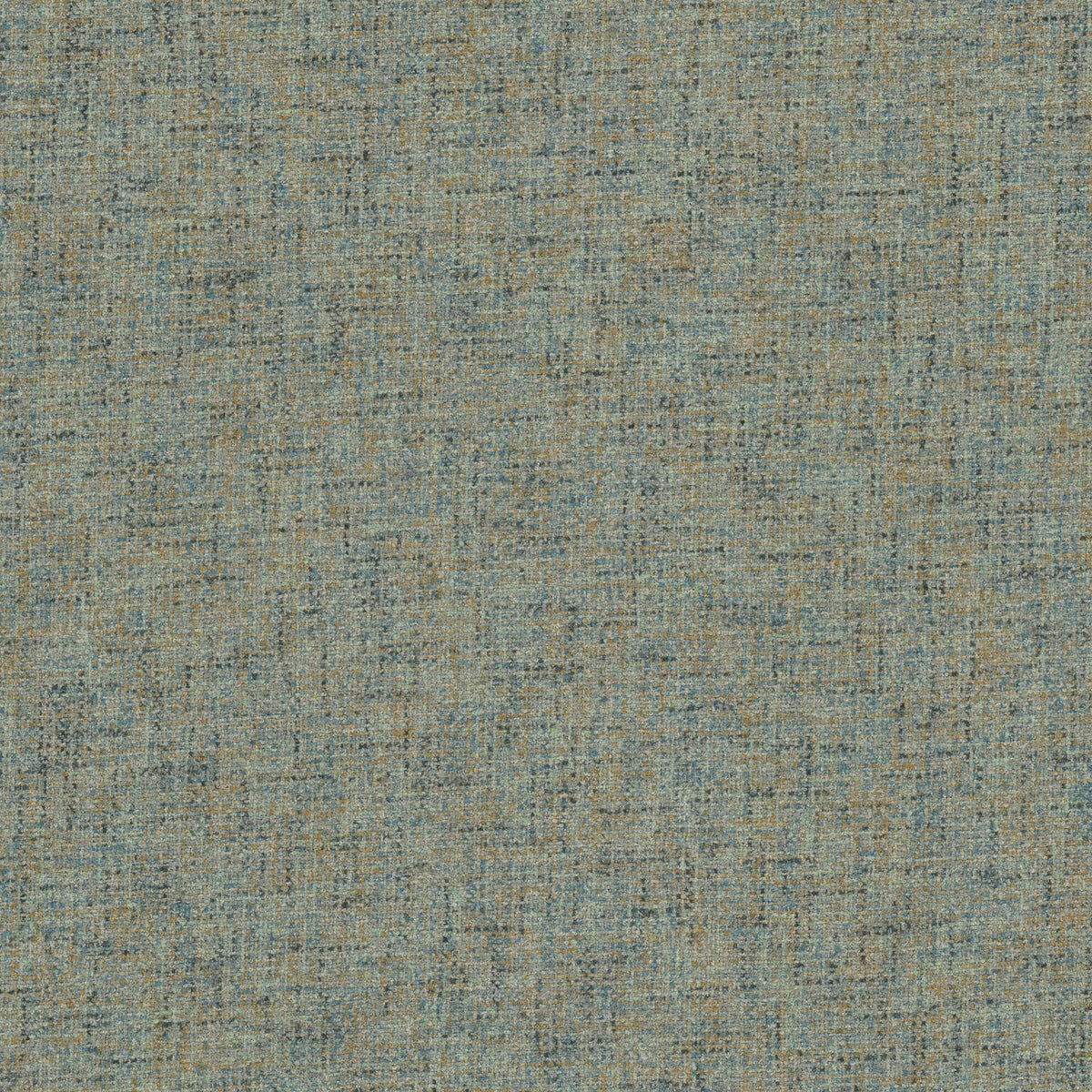 NOVICE 1 PEACOCK