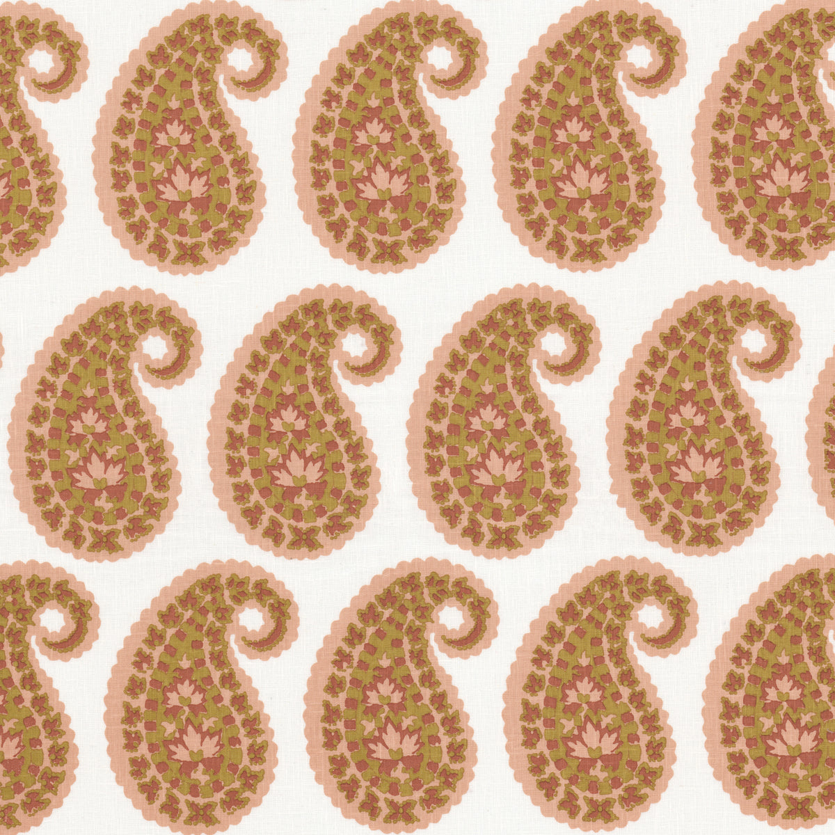 NUBIA 2 CORAL