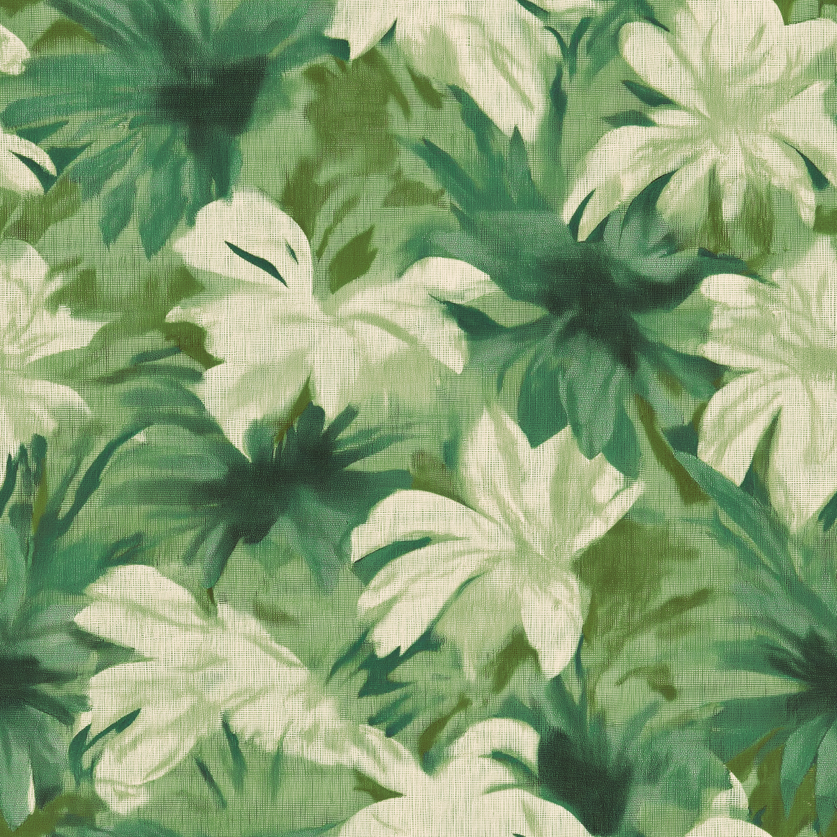 Nairobi Fern